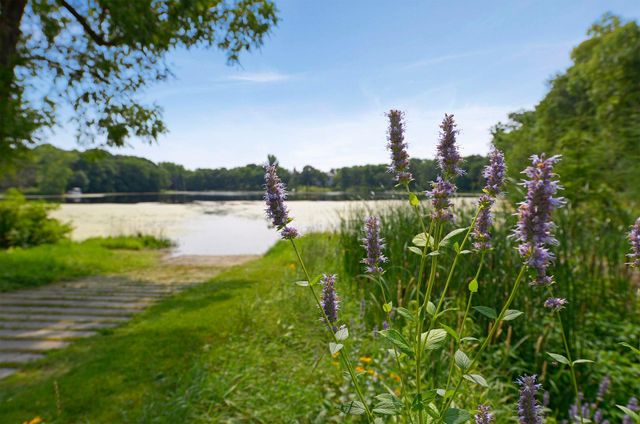 40 E Golden Lake Road, Circle Pines, MN 55014
