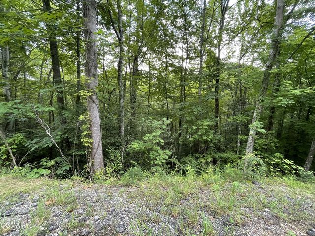 6 Stepping Stone Drive, Sevierville, TN 37862