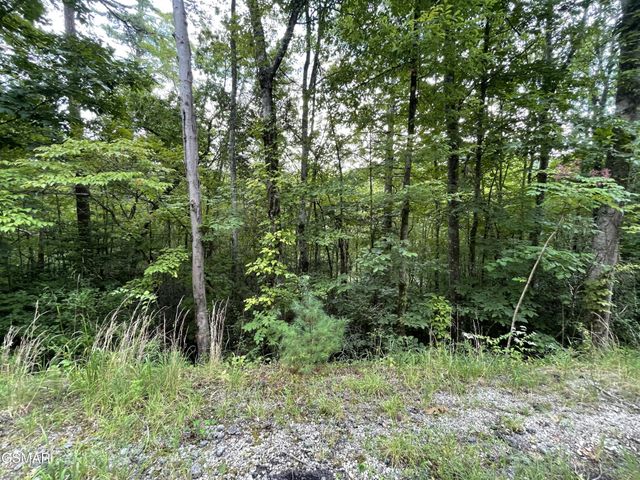 6 Stepping Stone Drive, Sevierville, TN 37862