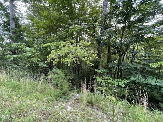 6 Stepping Stone Drive, Sevierville, TN 37862