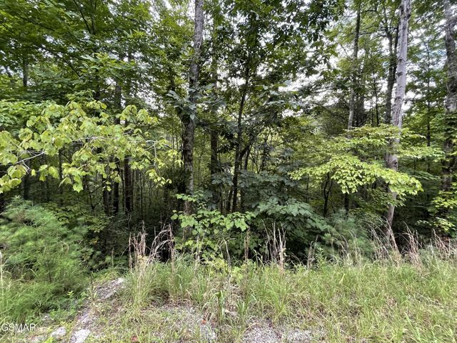 6 Stepping Stone Drive, Sevierville, TN 37862