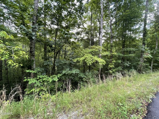 6 Stepping Stone Drive, Sevierville, TN 37862