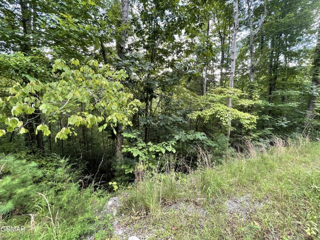 6 Stepping Stone Drive, Sevierville, TN 37862