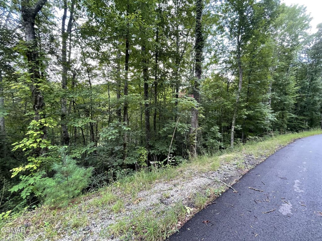6 Stepping Stone Drive, Sevierville, TN 37862