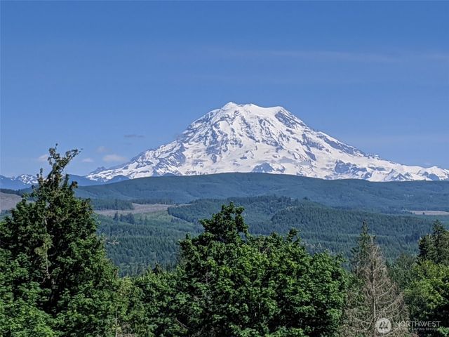 22109 161st Avenue E, Graham, WA 98338