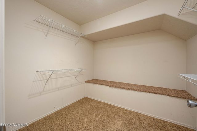 119 Trujillo Creek Road, Arrey, NM 87930