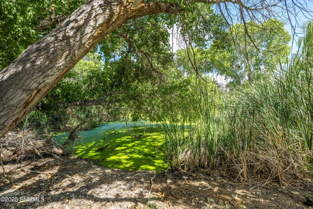 119 Trujillo Creek Road, Arrey, NM 87930