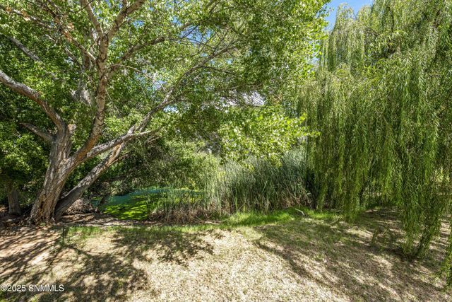 119 Trujillo Creek Road, Arrey, NM 87930