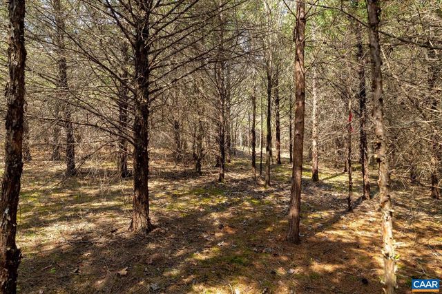 1280 JONES OVERLOOK # 53, Howardsville, VA 24562