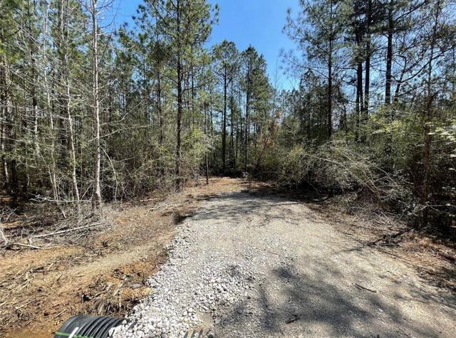 17040 E William Road, Conroe, TX 77303