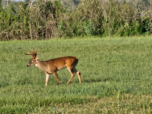 400 Pony Trail, Angleton, TX 77515