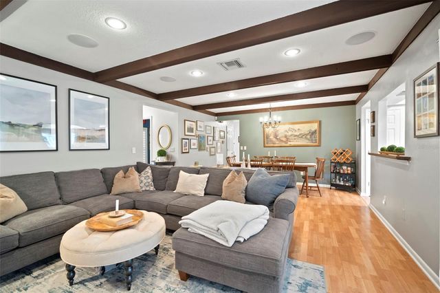 14801 OAK VINE DRIVE, Lutz, FL 33559