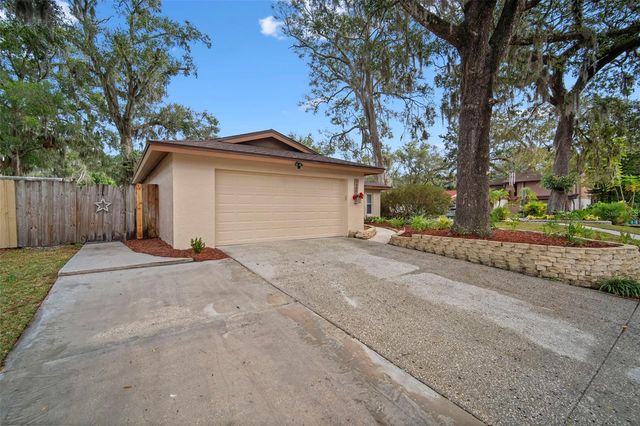 14801 OAK VINE DRIVE, Lutz, FL 33559