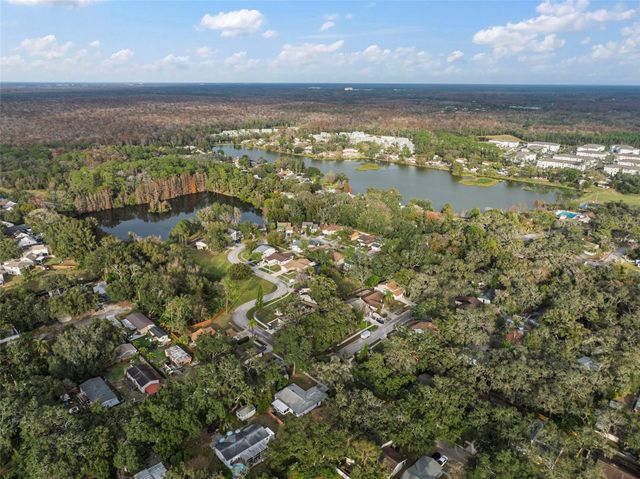 14801 OAK VINE DRIVE, Lutz, FL 33559
