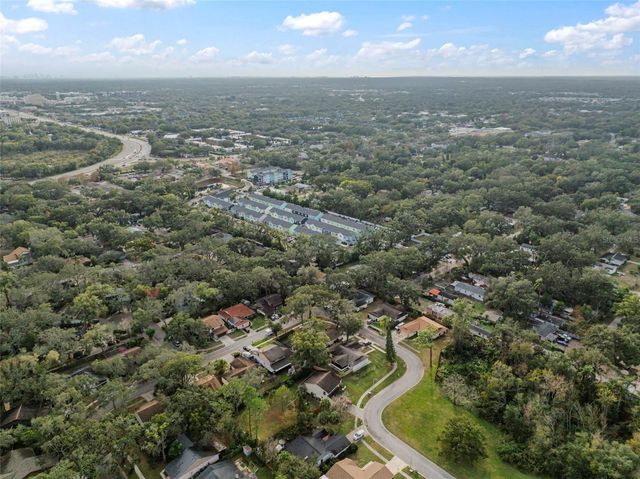 14801 OAK VINE DRIVE, Lutz, FL 33559