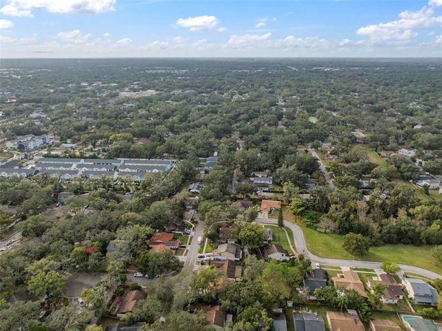 14801 OAK VINE DRIVE, Lutz, FL 33559