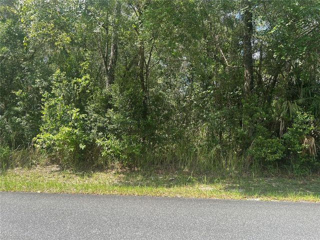 3118 E DEAL STREET, Inverness, FL 34453