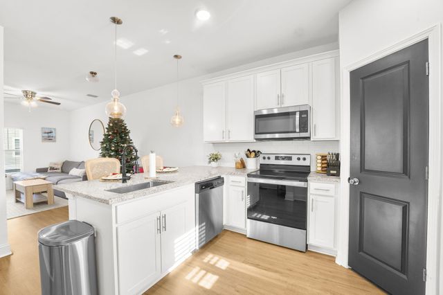 1265 Allusion Lane, Mount Pleasant, SC 29466