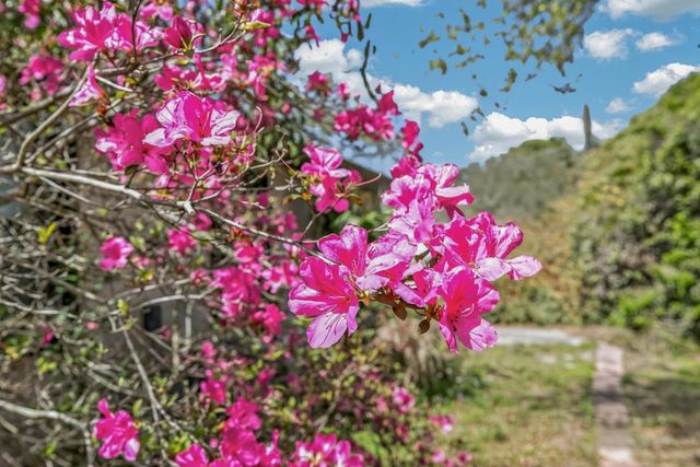 355 Biscayne Ave, St Augustine, FL 32080