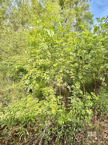 19160 County Road 68, Robertsdale, AL 36567