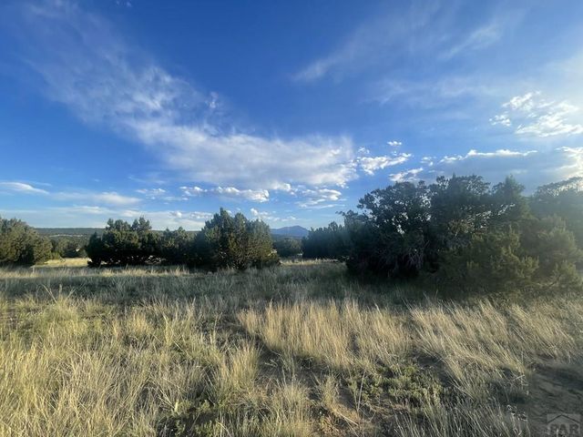 L10 B7 Orlando Way, Walsenburg, CO 81089