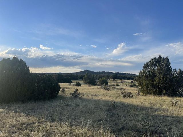 L10 B7 Orlando Way, Walsenburg, CO 81089