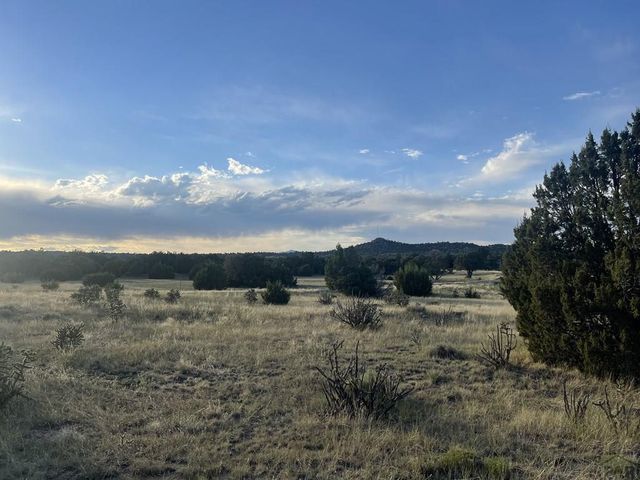 L10 B7 Orlando Way, Walsenburg, CO 81089