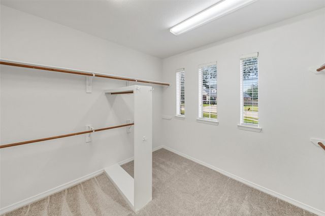 3103 Trail Ridge Drive, Pearland, TX 77584