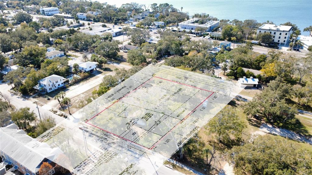 1136 DOUGLAS AVENUE, Dunedin, FL 34698