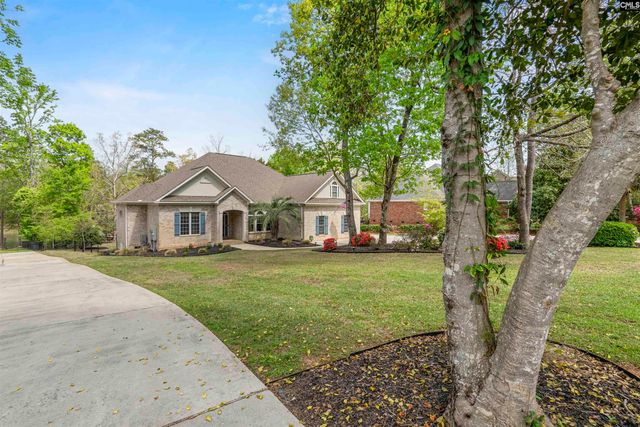 313 Bent Oak Drive, Chapin, SC 29036