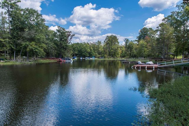 313 Bent Oak Drive, Chapin, SC 29036