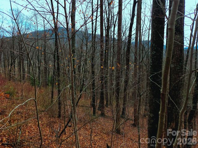 900 Fern Trail 31, Waynesville, NC 28786