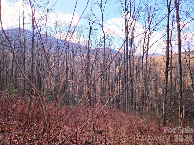 900 Fern Trail 31, Waynesville, NC 28786