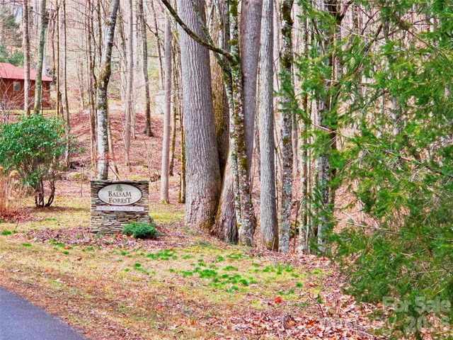 900 Fern Trail 31, Waynesville, NC 28786