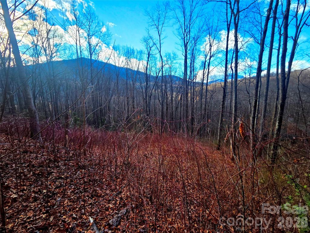 900 Fern Trail 31, Waynesville, NC 28786