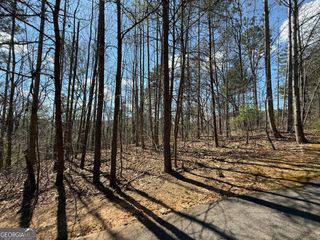 LOT 105 Lancelot Loop, Clayton, GA 30525