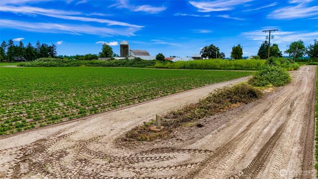 8634 Double Ditch Road, Lynden, WA 98264