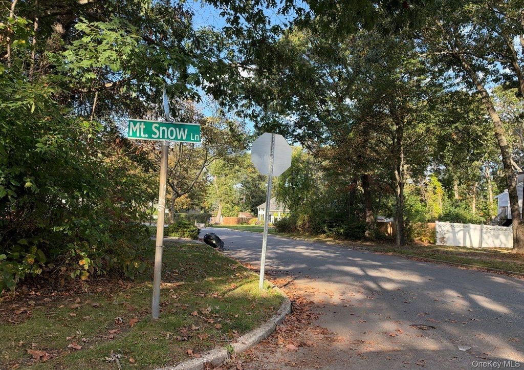 6 Mount Snow Lane, Coram, NY 11727 — photo 5