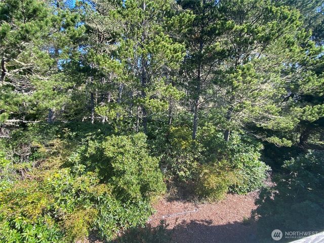 29008 K Lane, Ocean Park, WA 98640