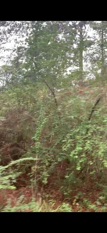 TBD Deerwood Drive, Hempstead, TX 77445