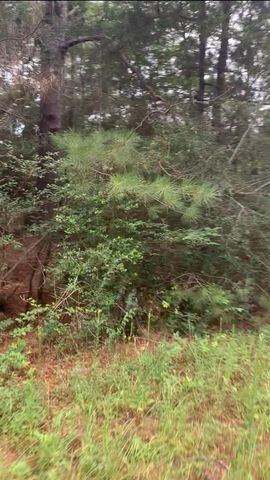 TBD Deerwood Drive, Hempstead, TX 77445