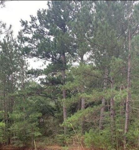 TBD Deerwood Drive, Hempstead, TX 77445