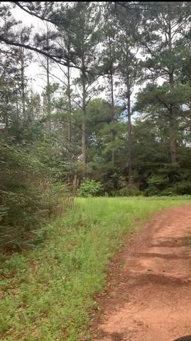 TBD Deerwood Drive, Hempstead, TX 77445