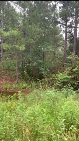 TBD Deerwood Drive, Hempstead, TX 77445