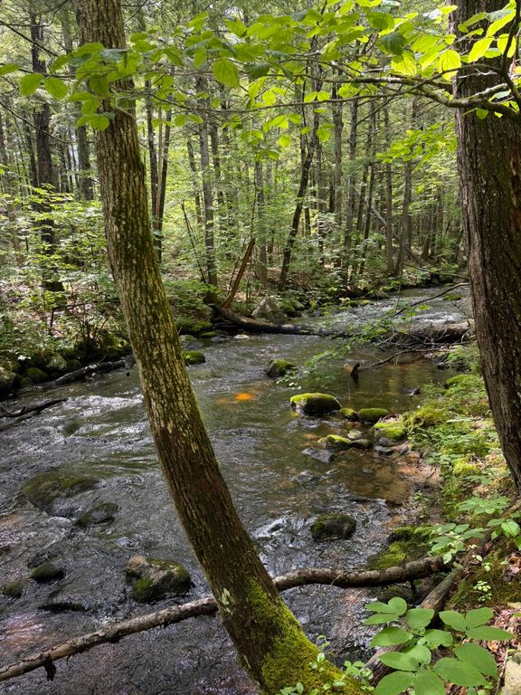 Lot 44 Rolfe Road, Harrison, ME 04040 — exterior