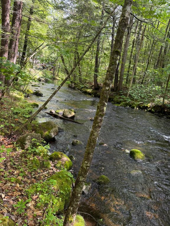 Lot 44 Rolfe Road, Harrison, ME 04040 — photo 2