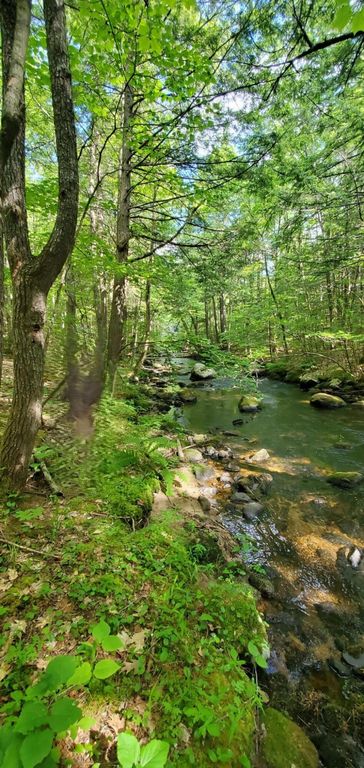 Lot 44 Rolfe Road, Harrison, ME 04040 — photo 3
