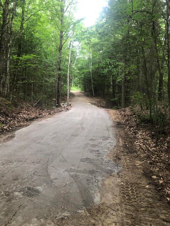 Lot 44 Rolfe Road, Harrison, ME 04040 — photo 4