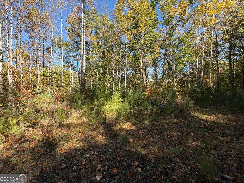 0 Benny Mtn Road LOT A, Clayton, GA 30525 — exterior