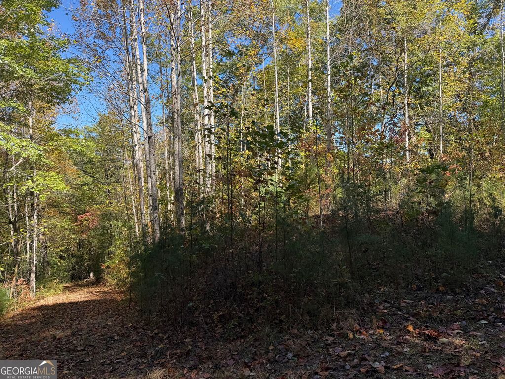 0 Benny Mtn Road LOT A, Clayton, GA 30525 — photo 3